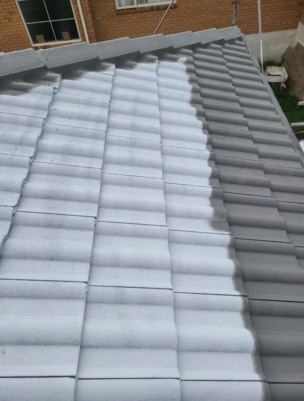 A concrete tile roof with the first coat freshly applied, still wet across the tiles