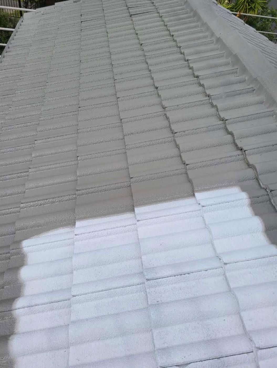A concrete tile roof part way through cleaning, with a bright clean strip beside the dirty tiles